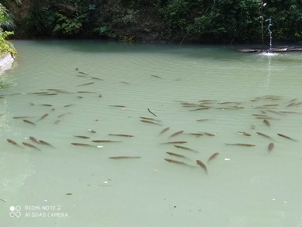 山庄配套